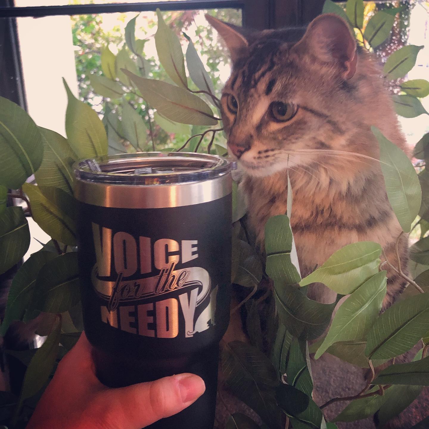 Sign our petition to Restore Facebook Donation Access for Romanian Supporters